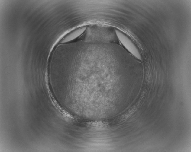 X0000053130896200507251746