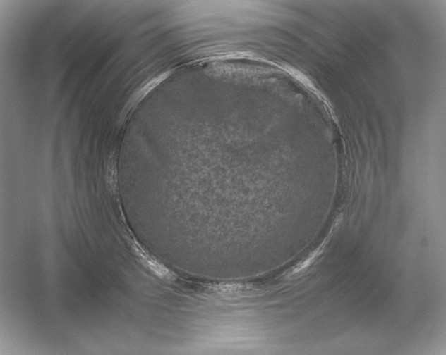 X0000053130897200507251746