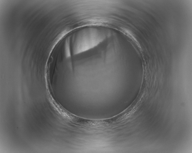 X0000053130899200507251746