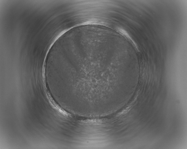 X0000053130900200507251746