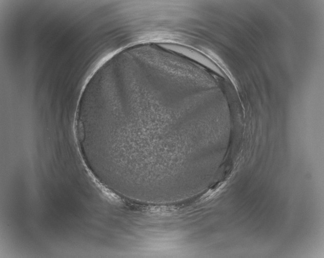 X0000053130901200507251746