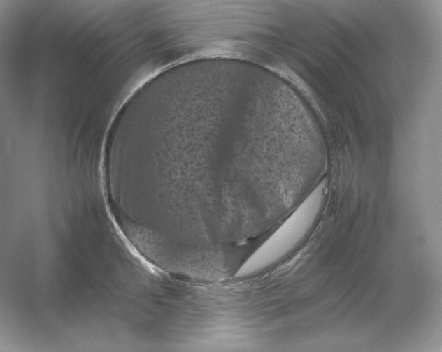 X0000053130902200507251746