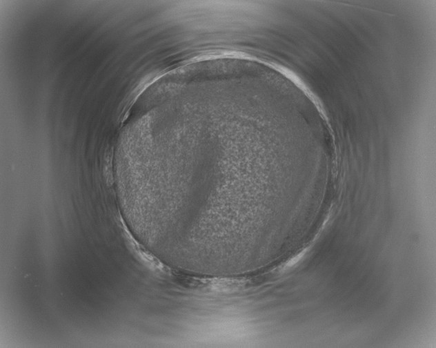 X0000053130905200507251746