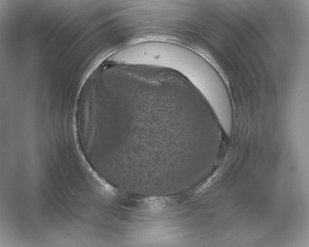 X0000053130906200507251746