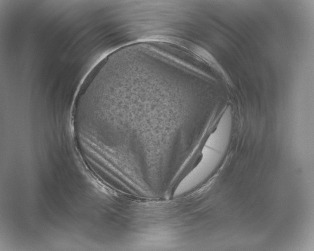 X0000053130908200507251746