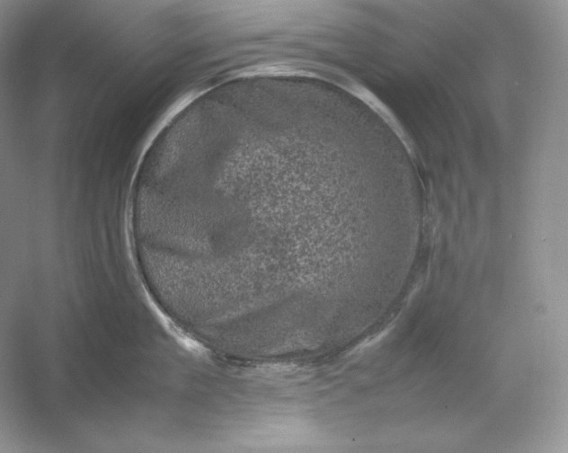 X0000053130909200507251746