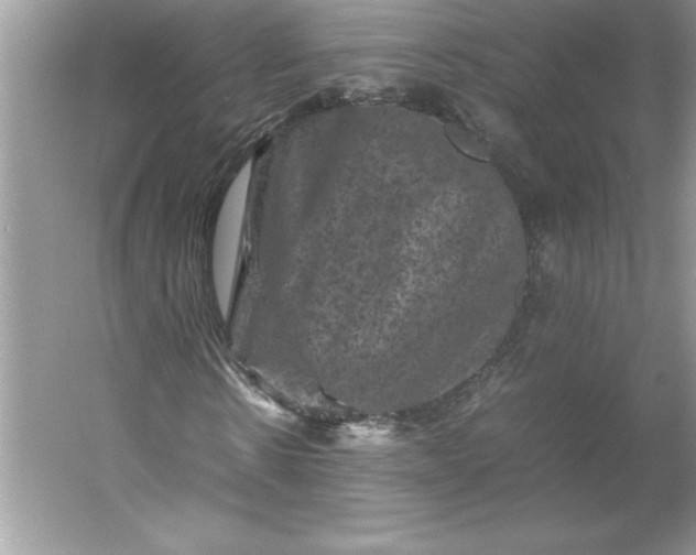 X0000053130914200507251745