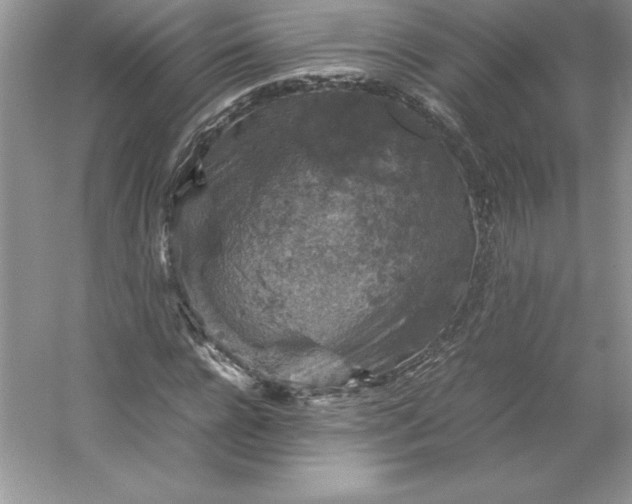 X0000053130920200507251745