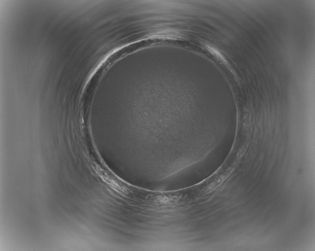 X0000053130923200507251745