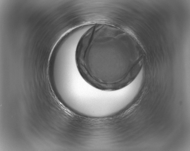 X0000053130924200507251745