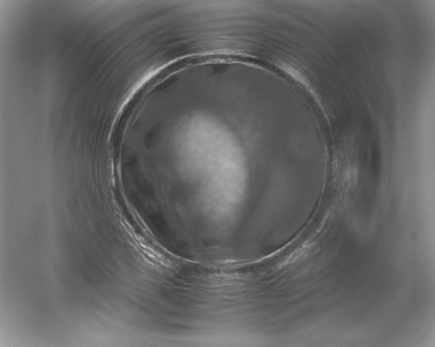 X0000053130925200507251745
