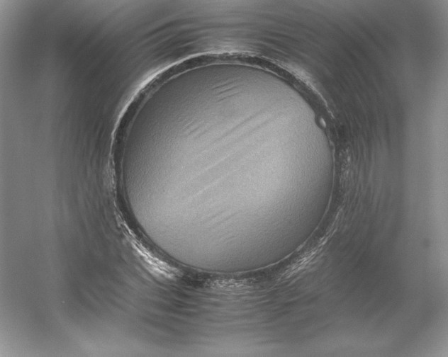 X0000053130927200507251745