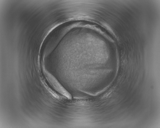 X0000053130932200507251745