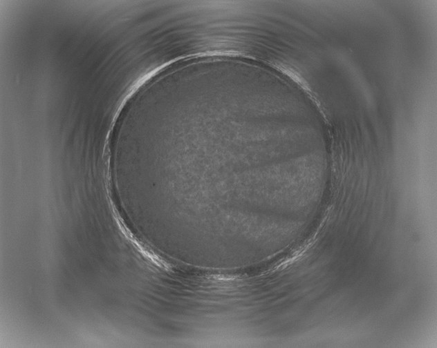 X0000053130933200507251745