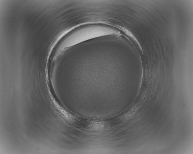 X0000053130935200507251745