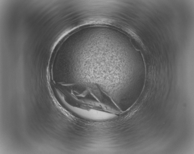 X0000053130936200507251745