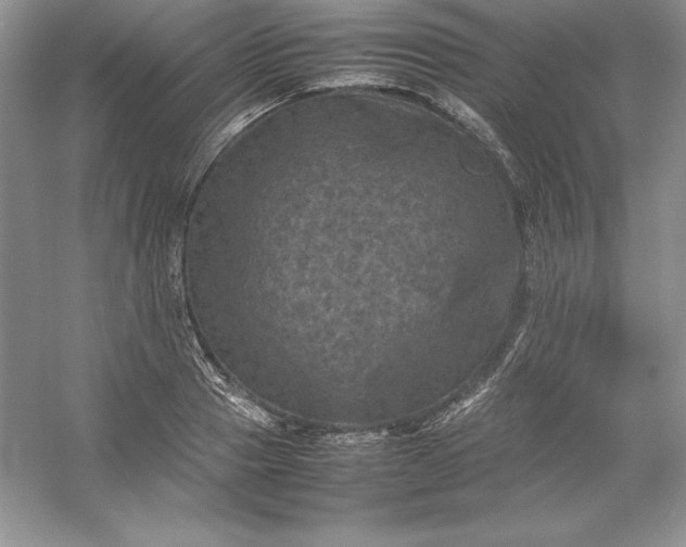 X0000053130937200507251745