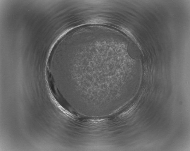 X0000053130939200507251745