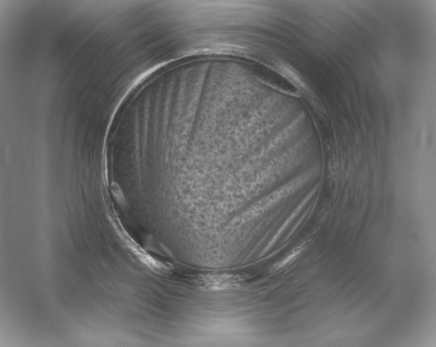 X0000053130940200507251745