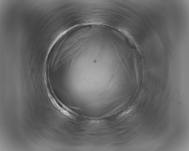 X0000053130941200507251745