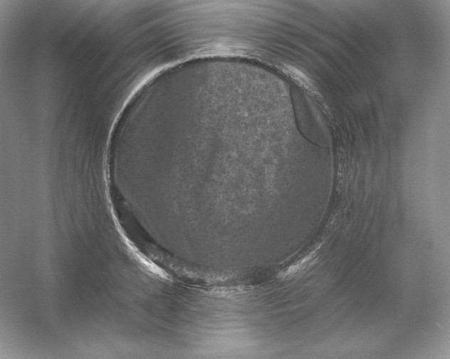 X0000053130942200507251746