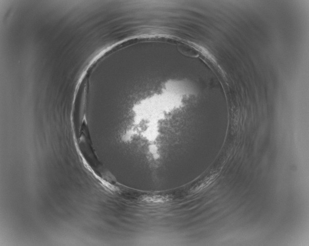 X0000053130943200507251746