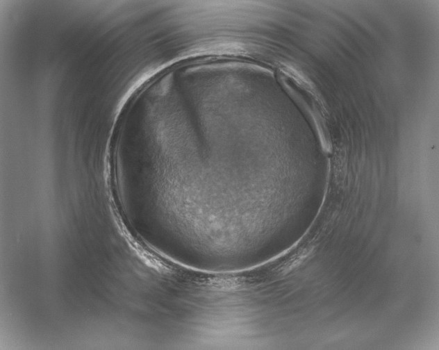 X0000053130944200507251746