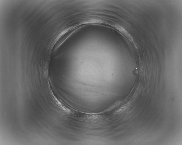 X0000053130945200507251746