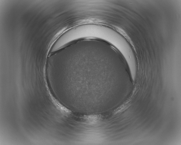 X0000053130946200507251746