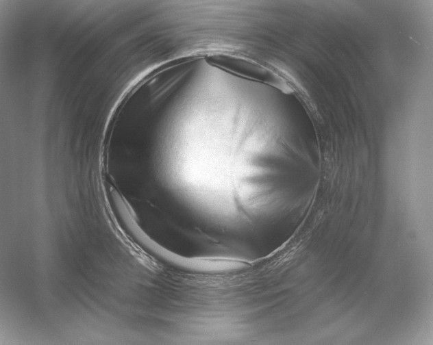 X0000053130948200507251746