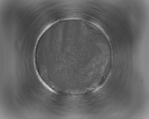 X0000053130949200507251746