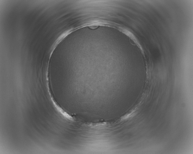 X0000053130954200507251746