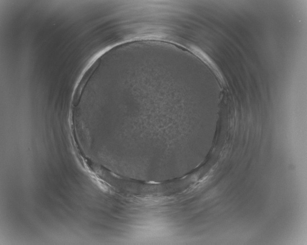 X0000053130956200507251746