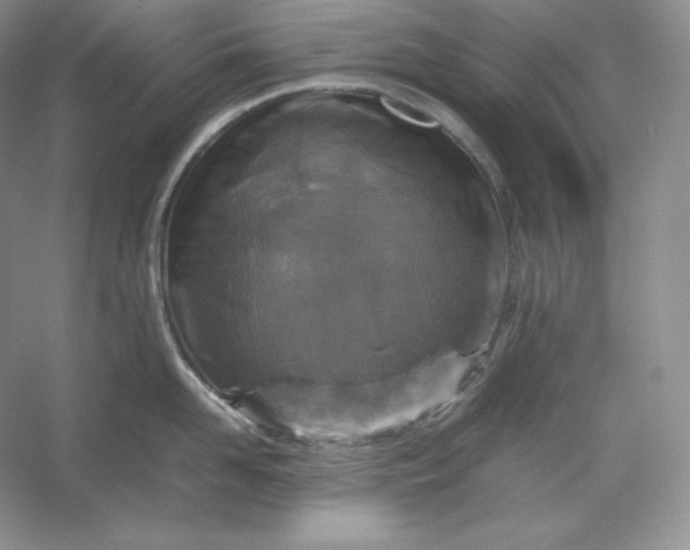 X0000053130958200507251746