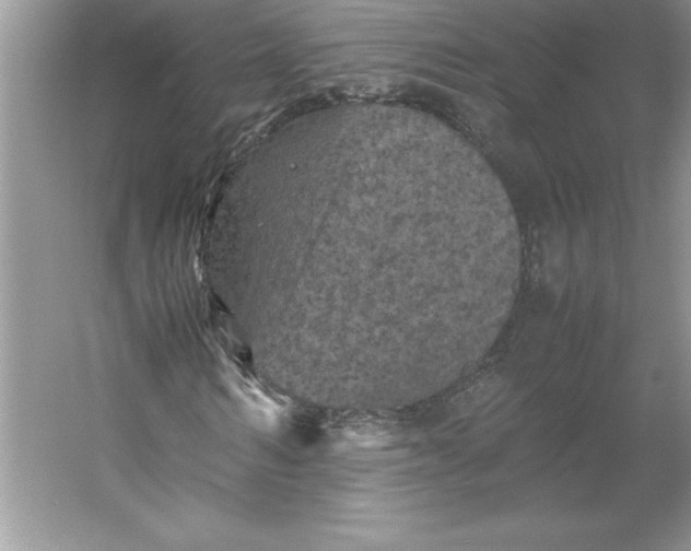 X0000053130962200507251745