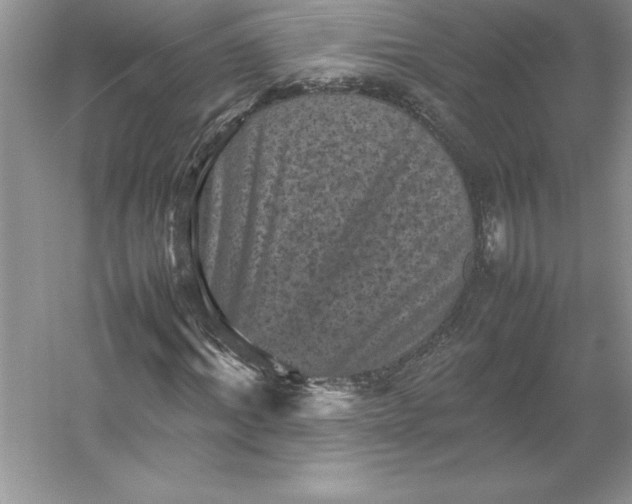 X0000053130964200507251745