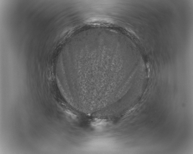 X0000053130965200507251745