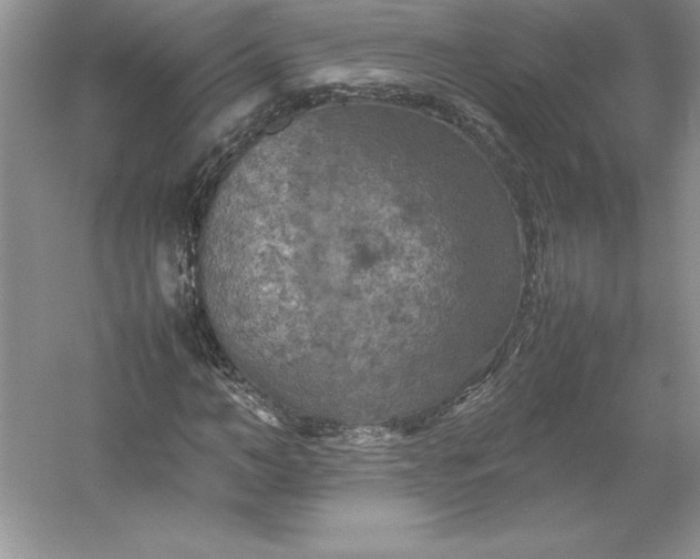 X0000053130966200507251745