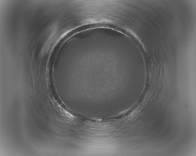 X0000053130975200507251745