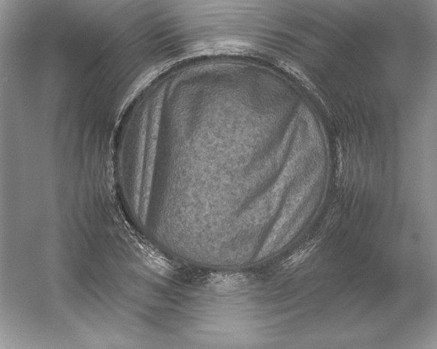 X0000053130978200507251745