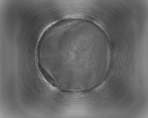 X0000053130979200507251745