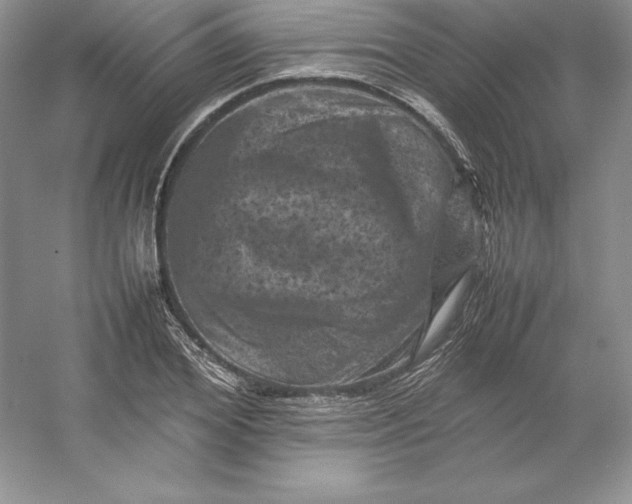 X0000053130980200507251745
