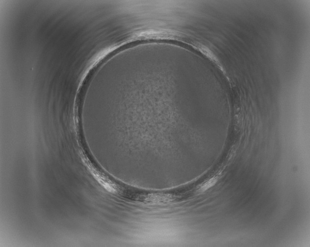 X0000053130981200507251745
