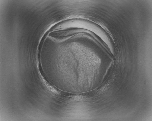 X0000053130984200507251745