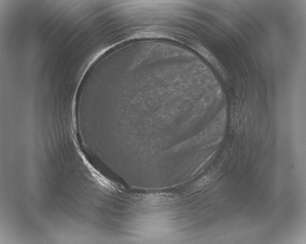 X0000053130988200507251745