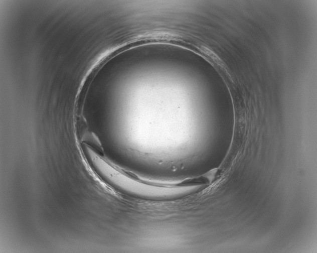 X0000053130989200507251745