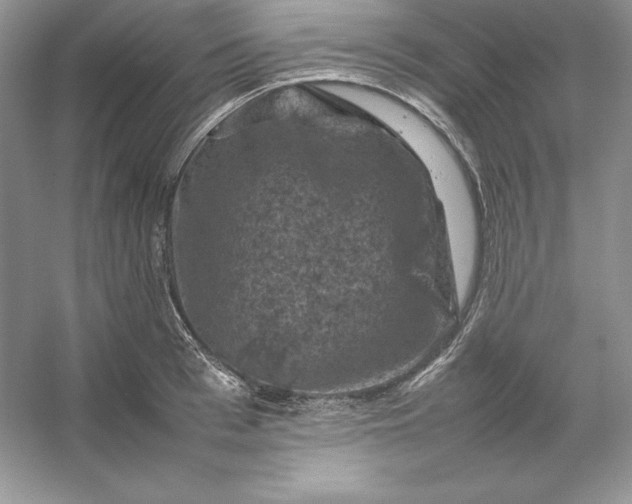 X0000053130993200507251744