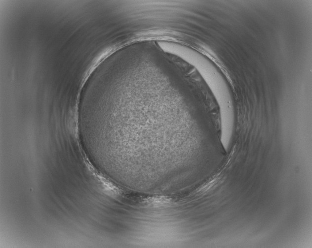 X0000053130994200507251744