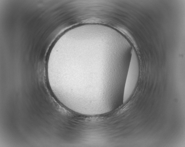X0000053131000200507251744