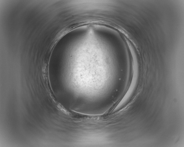 X0000053131001200507251744